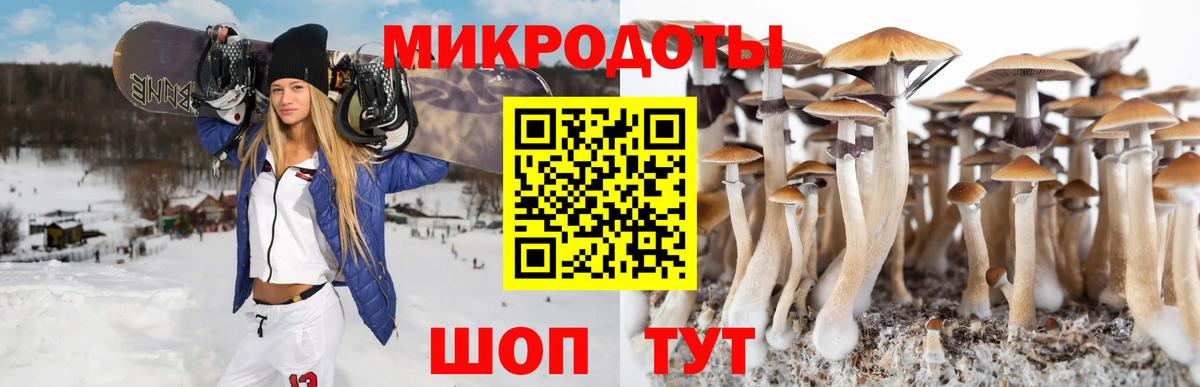Псилоцибиновые грибы мицелий Богородицк